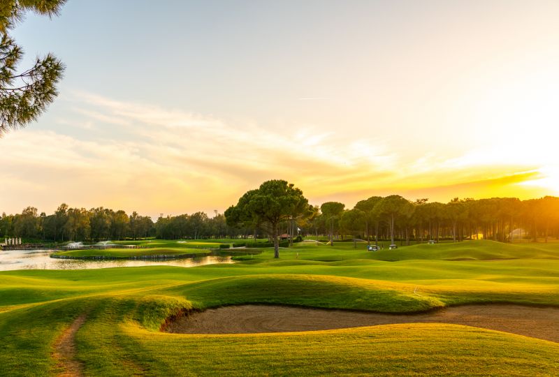 Golf Course Turf Installation