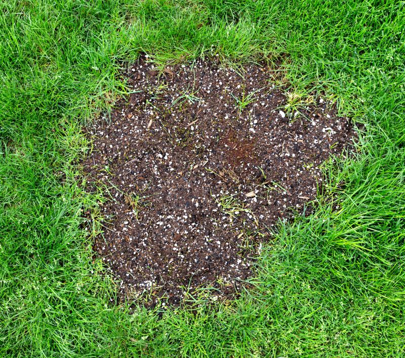 Grass Patching
