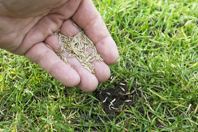 Ground Cover Planting