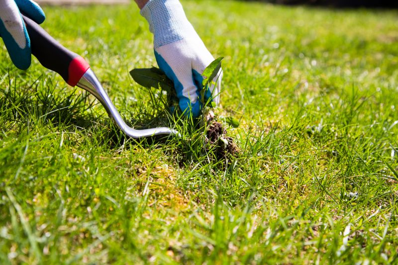 Ground Cover Removal