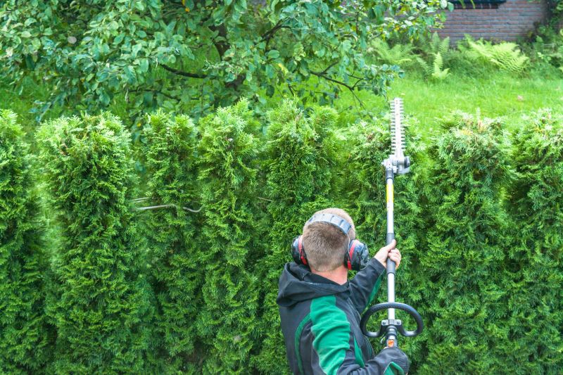 Hedge Planting