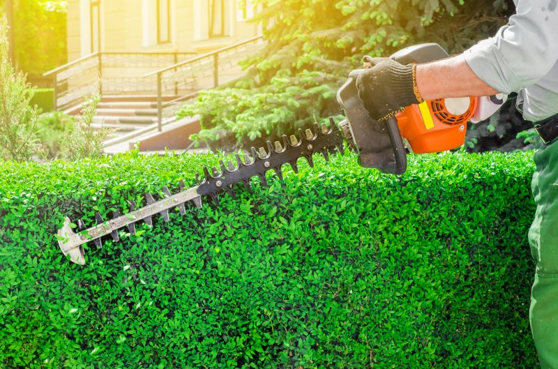 Hedge Replacement