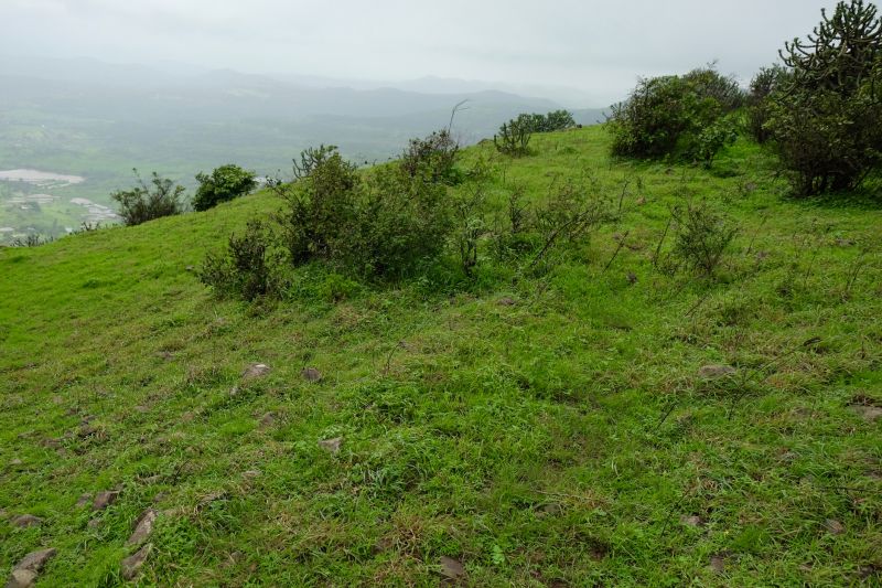 Hill Landscaping