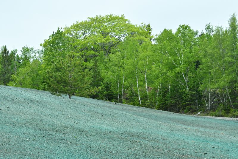 Hill Landscaping