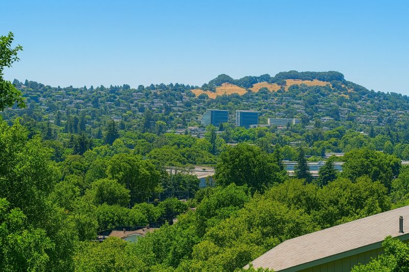 Hill Landscaping