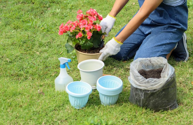 Home Gardening Service