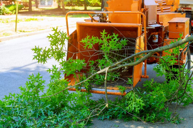 Hotel Mulching