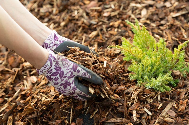 Hotel Mulching