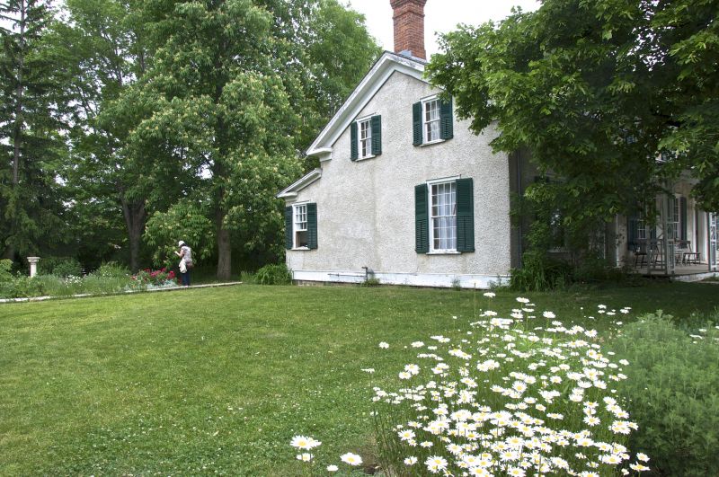 House Landscaping