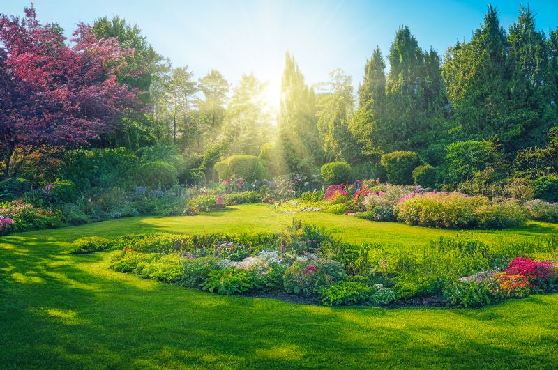Landscaping Design Service