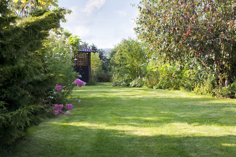 Landscaping Maintenance