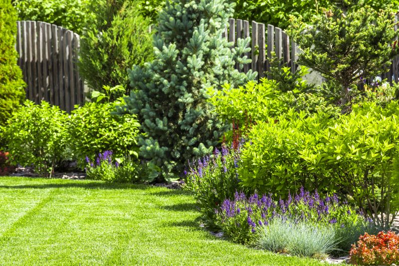 Landscaping Modification