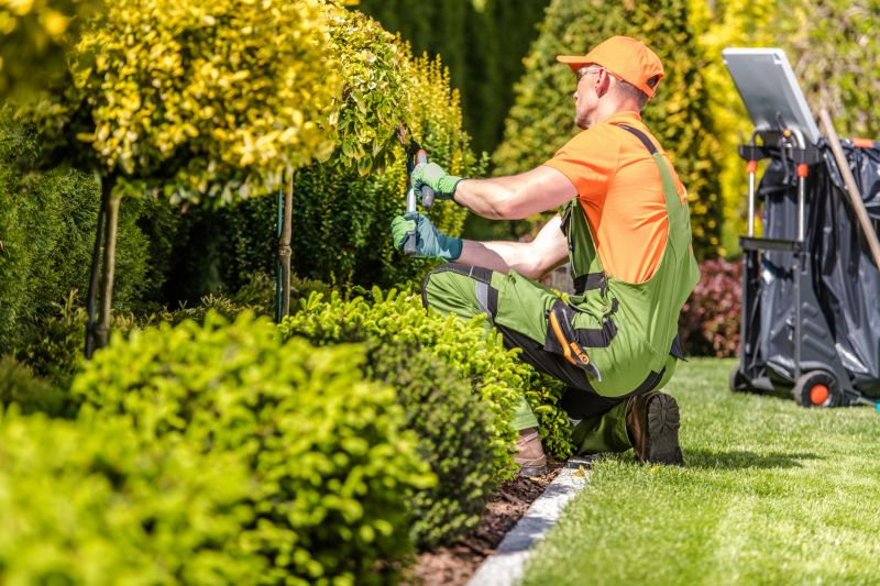 Landscaping Modification