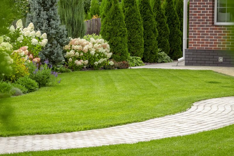 Landscaping Replacement