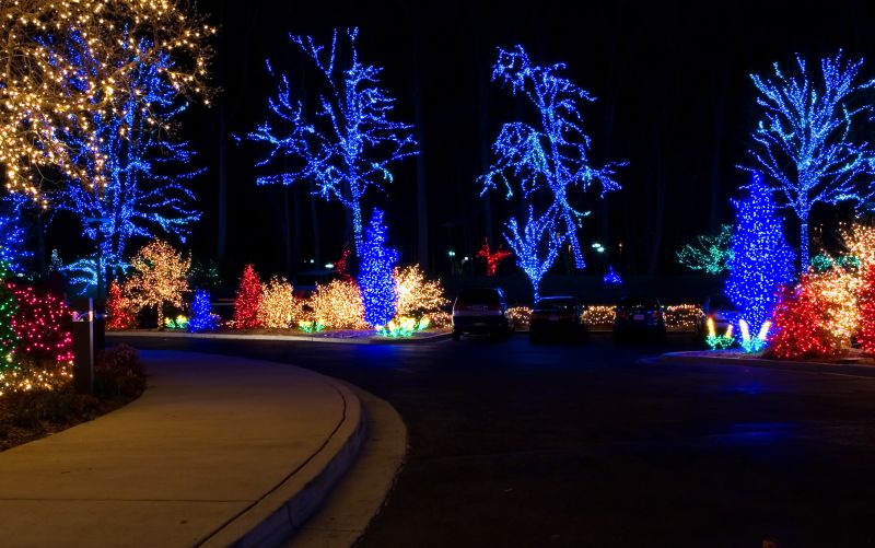 Holiday Landscape Ideas