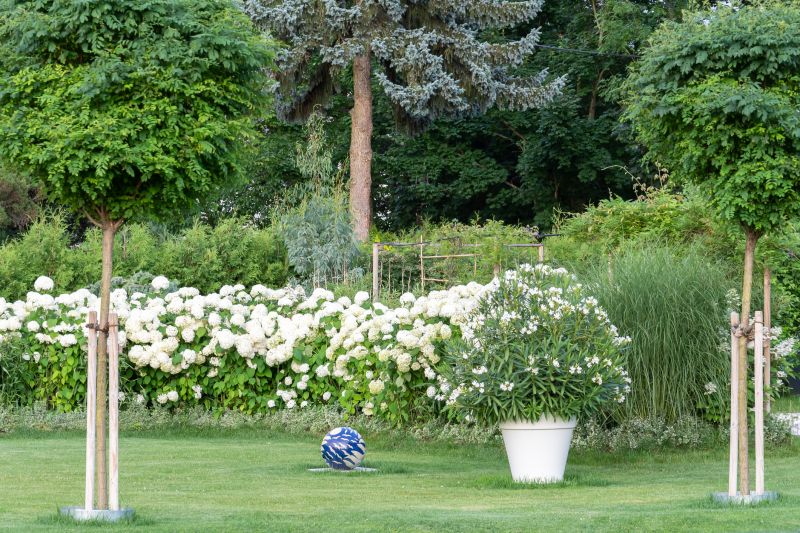 Lawn Bordering