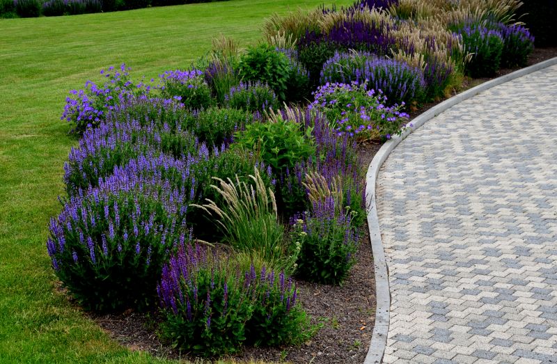 Lawn Curb Installation