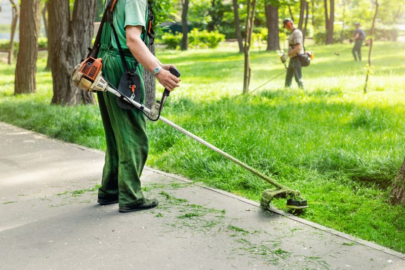 Lawn Edging Service