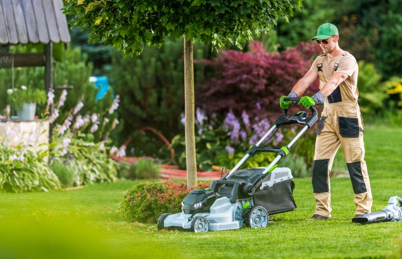 Lawn Landscaping