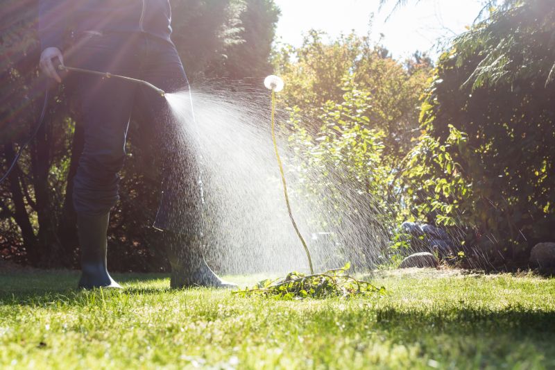 Lawn Weeding