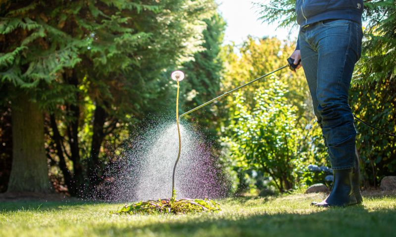 Lawn Weeding