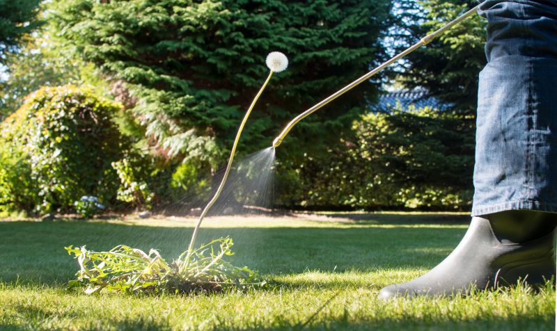 Lawn Weeding