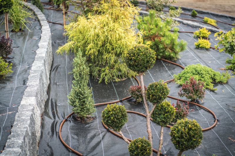 Modern Landscaping
