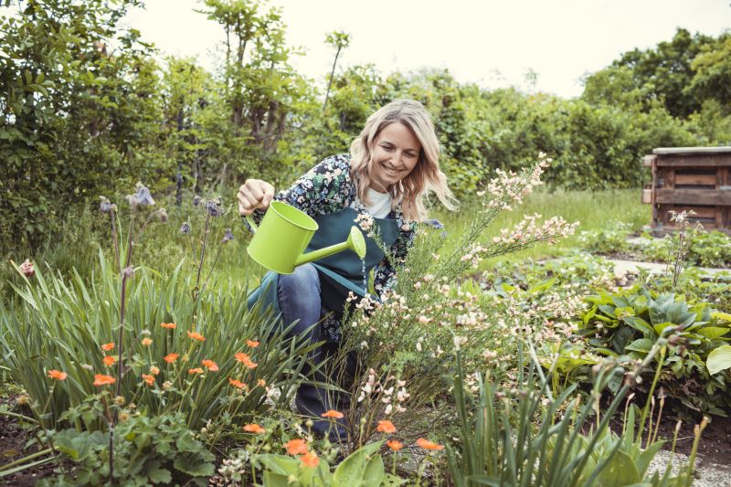Monthly Garden Maintenance