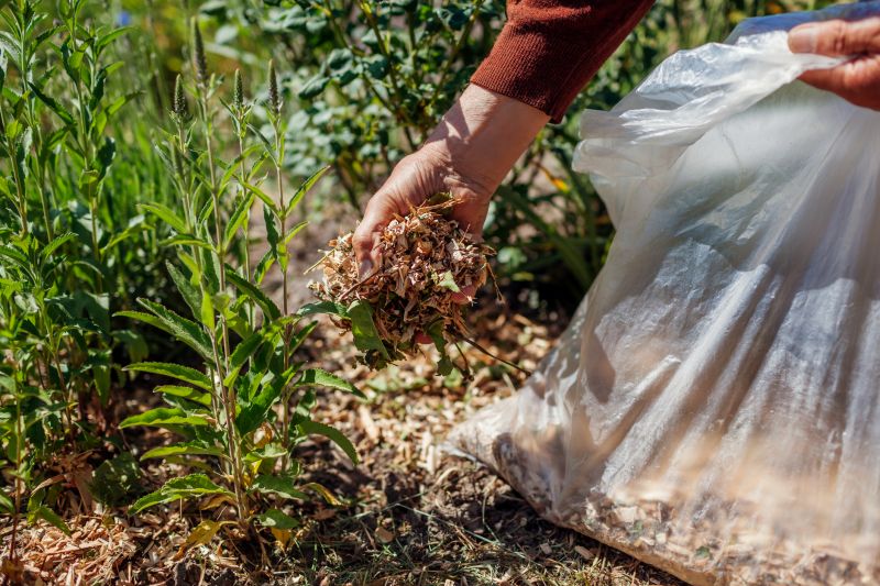 Mulch Installation