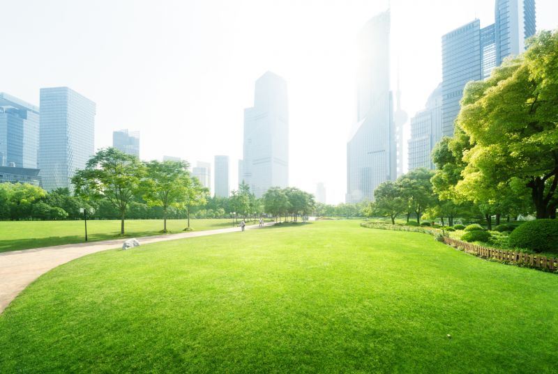 Office Landscaping Design