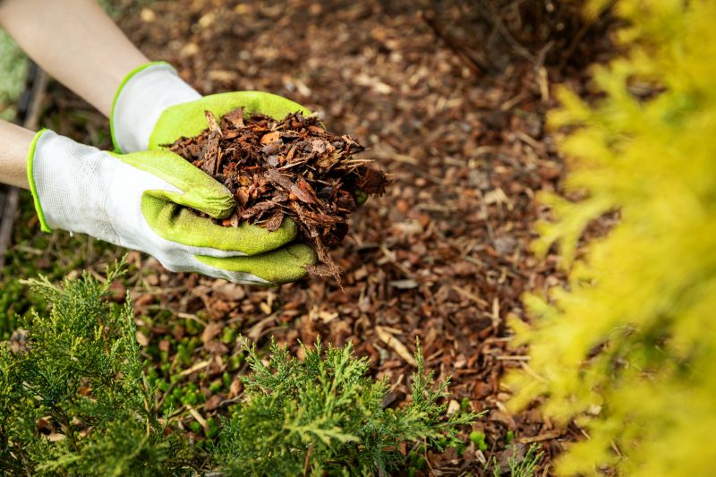 Organic Mulch Delivery