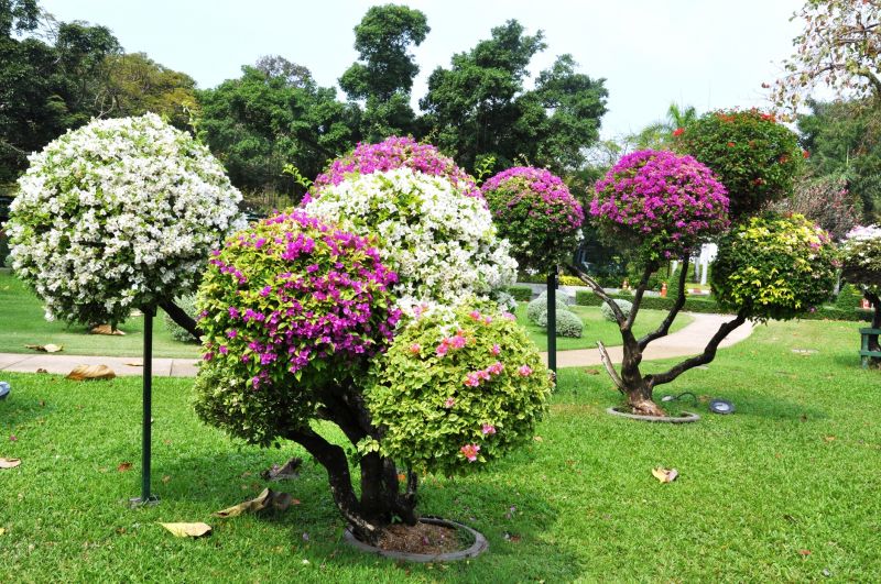 Ornamental Tree Planting