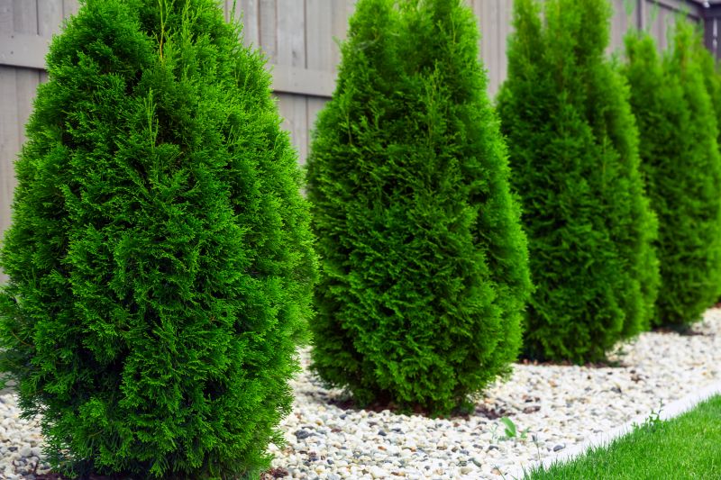 Ornamental Tree Planting