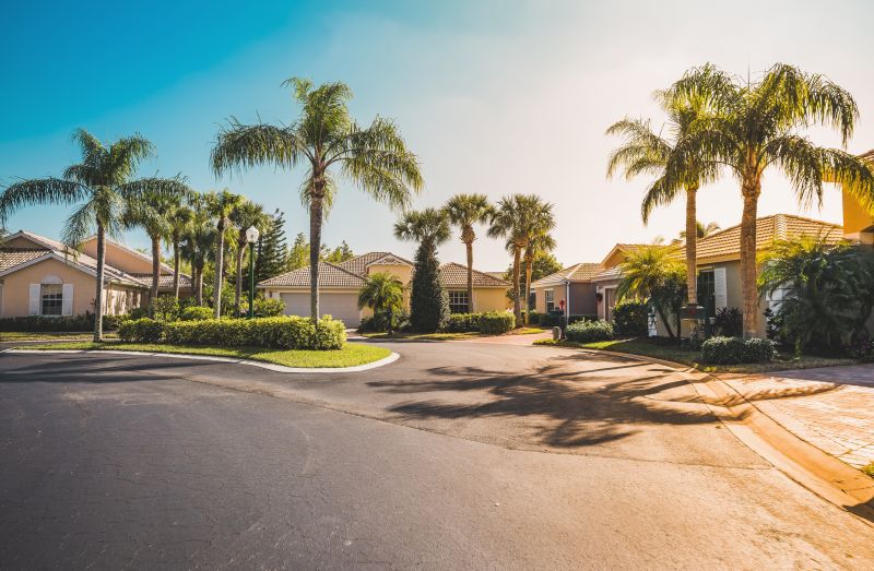 Palm Tree Landscaping
