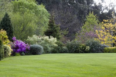 Park Landscape Maintenance