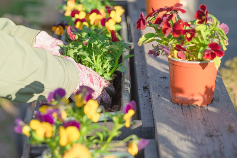 Perennials Planting