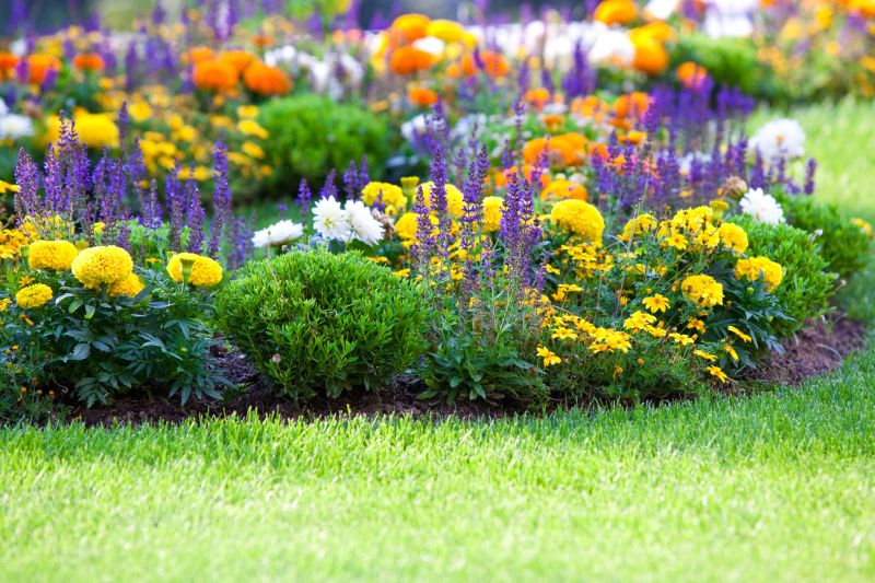 Perennials Planting