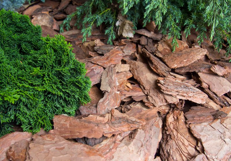 Pine Mulch Installation