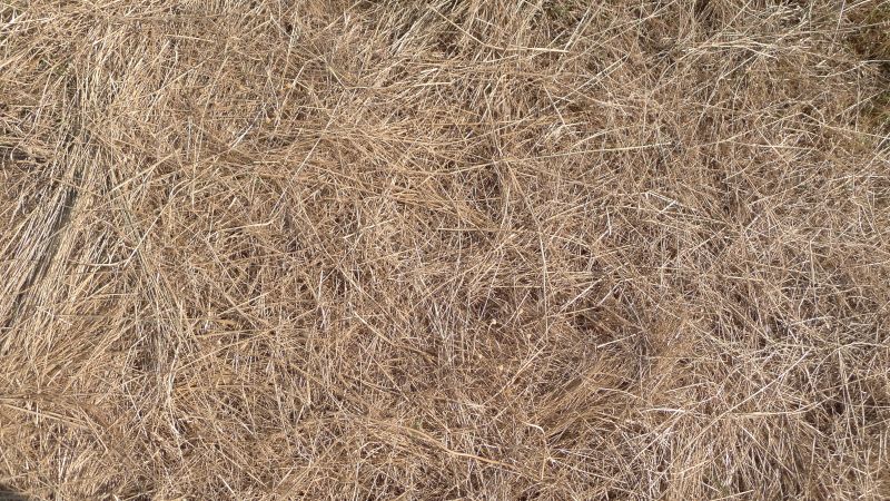 Pine Straw Delivery