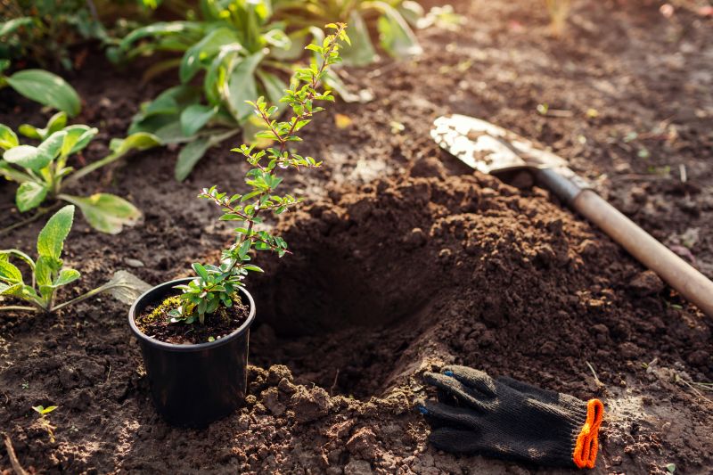 Plant Replacement