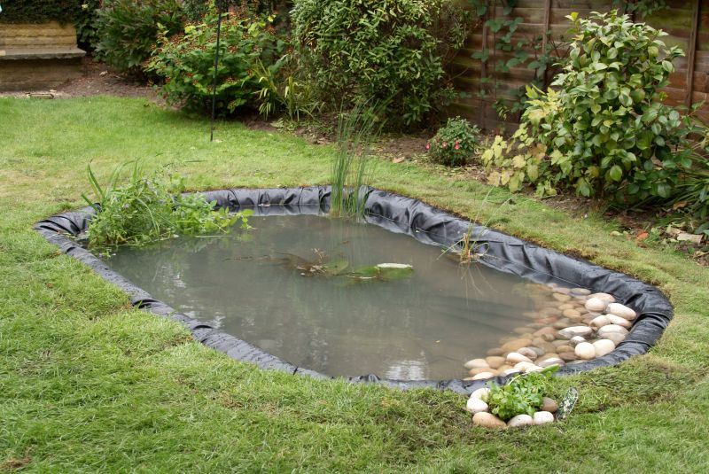 Pond Landscaping Service