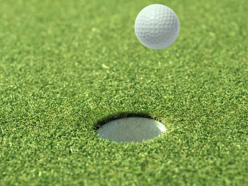 Residential Putting Green Installation