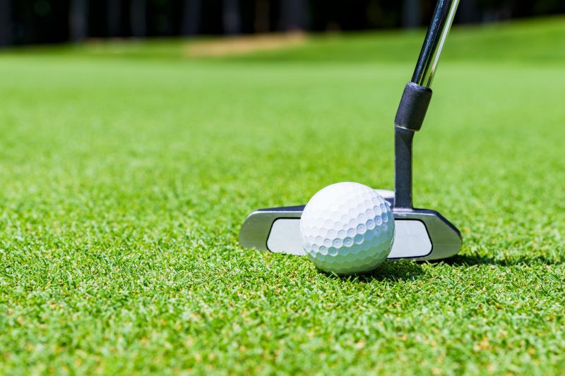 Residential Putting Green Installation