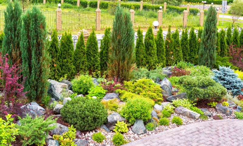 Rock Landscaping