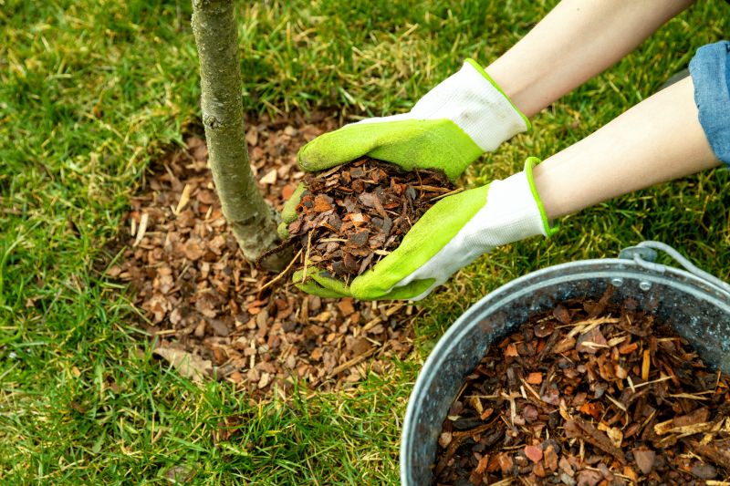 Shredded Mulch Service