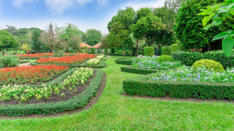 Shrub Landscaping