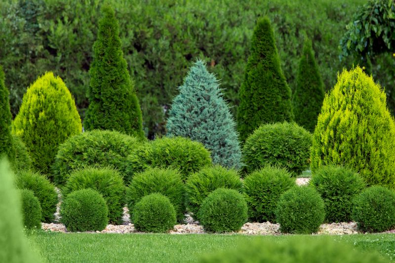 Shrub Planting Service