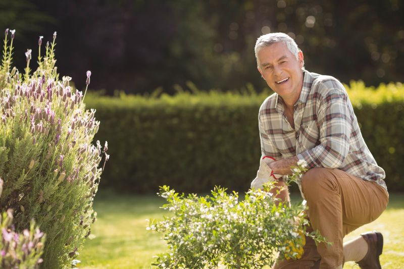 Shrubbery Planting