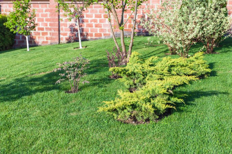 Slope Landscaping