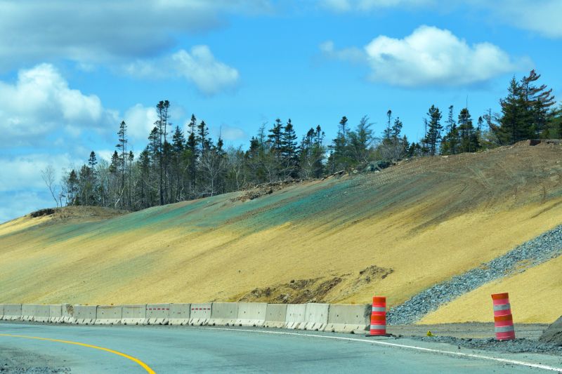Slope Landscaping